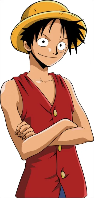 Quel est le surnom de Monkey D. Luffy ?