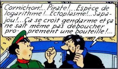 Commençons par un des plus célèbres : qu'est-ce qu'un "sapajou" ?