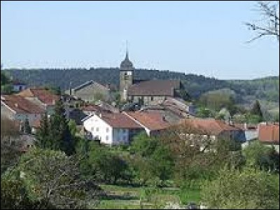 Pour commencer cette balade dominicale, nous prenons la direction des Vosges et le village de Bleurville. Nous sommes dans la région naturelle de la Vôge, dans la nouvelle région ...