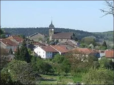 Pour commencer cette balade dominicale, nous prenons la direction des Vosges et le village de Bleurville. Nous sommes dans la région naturelle de la Vôge, dans la nouvelle région ...