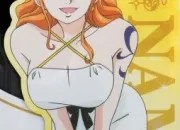 Quiz Nami et Luffy