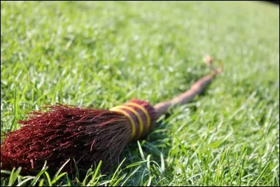 Que préférez-vous entre le quidditch ou le club des Bavboules ?