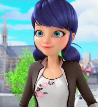 Pour commencer, de qui est amoureuse Marinette ?