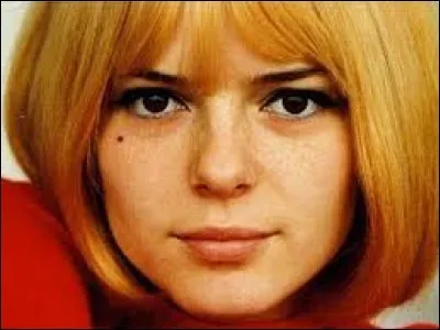 France Gall a interprété ''Poupée de cire, poupée de son'' en 1965 au Concours de l'Eurovision. Qui a écrit et composé cette chanson ?