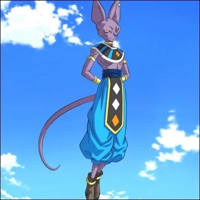 Qui est Beerus ?