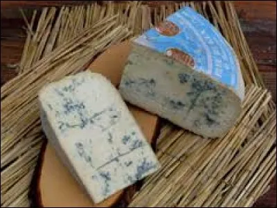 D'où vient ce fromage persillé à pâte molle ?