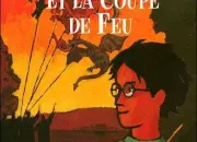 Quiz Harry Potter et la Coupe de feu