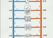 Quiz Les lois de l'lectricit