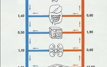 Quiz Physique