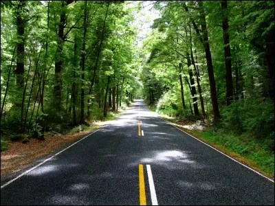 Lequel de ces panneaux n'existe pas sur nos routes françaises ?