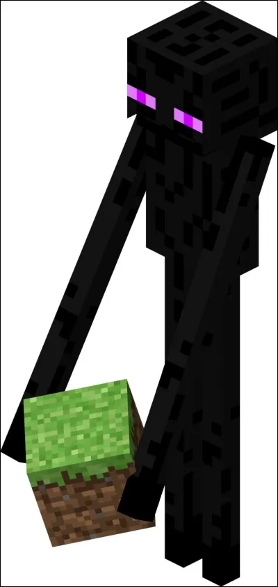 Qui est l'enderman ? (Plusieurs réponses)