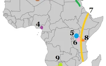 Quiz Afrique