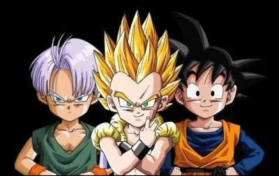 Comment s'appelle la fusion de Goten et Trunks ?