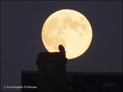 Où êtes-vous lorsque vous rêvassez ?