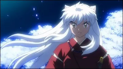 Quel est le pouvoir de Tessaiga l'épée de Inuyasha ?