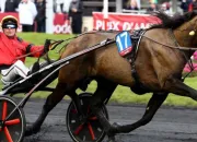 Quiz Les courses hippiques au trot