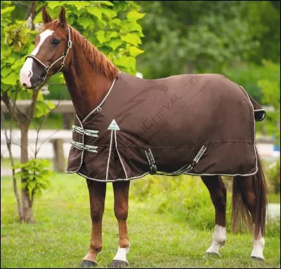 Quelle couverture mettre quand le cheval est mouillé ?