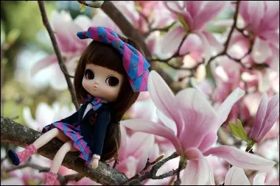 En quelle année la première Pullip est-elle sortie ?