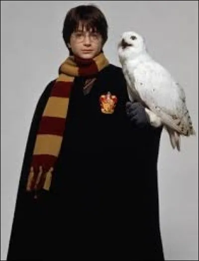 L'oiseau d'Harry Potter s'appelle Hedwige. Quel oiseau est-ce ?