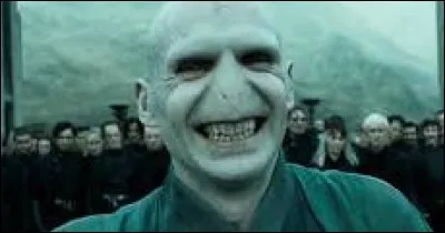 Qui est Voldemort ?