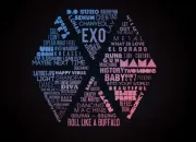 Quiz EXO