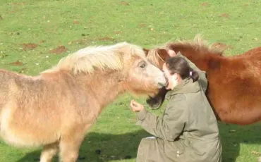 Quiz Chevaux