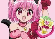 Quiz Tokyo Mew Mew