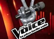 Quiz The Voice