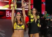 Quiz The Bella Twins