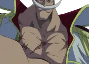 Quiz One Piece - Barbe blanche (1)