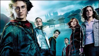 On commence facile.
Quel personnage a fait le tournoi des trois sorciers et est un joueur professionnel de Quidditch ?