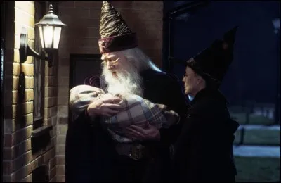 Quel est le nom de la rue où habite la famille adoptive de Harry Potter ?