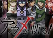 Quiz Akame ga Kill !