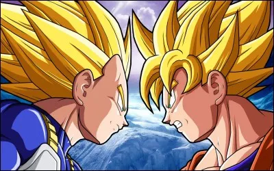 Quel sont les techniques utilisés dans le premier affrontement Vegeta/Gokû ?