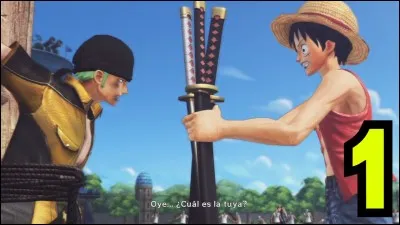 Qui enferme Zoro dans le tome 1 ?