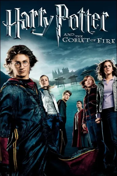 Dans "Harry Potter 4", pourquoi Harry participe-t-il au Tournoi des Trois Sorciers alors qu'il n'a pas l'âge requis ?