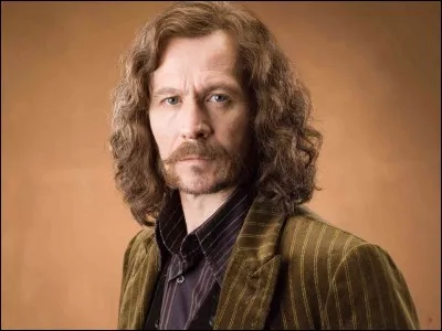 Sirius Black est pour Harry Potter :