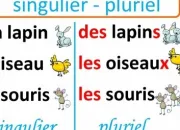 Quiz Mots composs : pluriel ou pas ? (1/3)