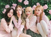 Quiz BlackPink