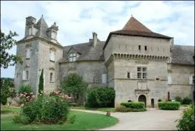 Pour commencer cette nouvelle année de balade, je vous emmène visiter le château de Cénevières. Commune Lotoise, elle se situe en région ... (je vous rappelle que nous jouons avec les anciennes régions).