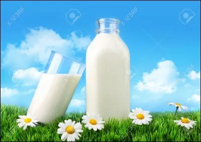 Comment dit-on "lait" en espagnol ?