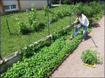 On ne dit pas "Potager", mais :