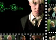 Quiz La chronologie de Drago Malefoy (premire partie)