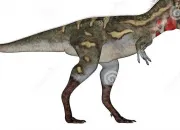 Quiz Nanotyrannus lancensis