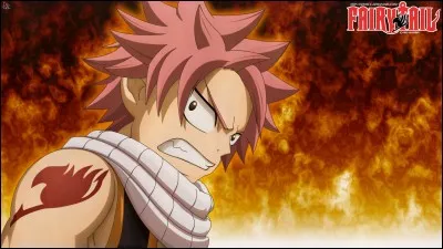 Au début du manga Natsu est à la recherche de qui ?