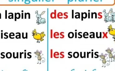 Quiz Langue franaise