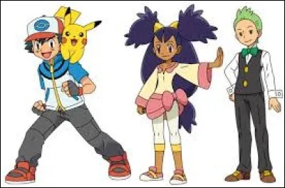 Quel est le dresseur principal dans Pokémon?