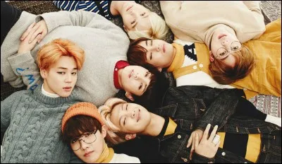 Quel est le nom complet des BTS ?