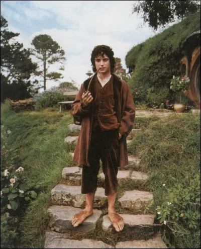 Qui est ce Hobbit ?