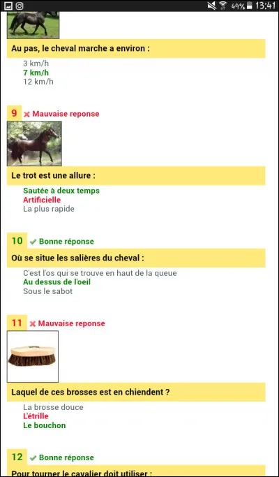 Quel est le nom que l'on donne aux pattes des chevaux ?